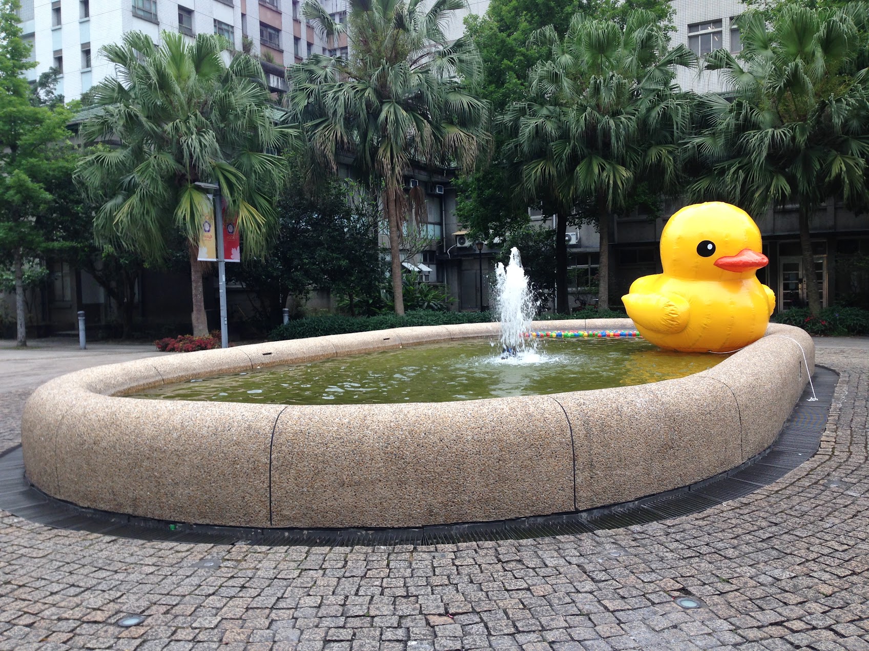 噴水池的黃色小鴨.jpg