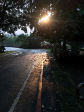 在那場雨以後